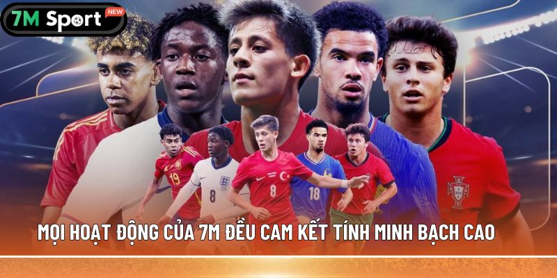 Mọi hoạt động của 7M đều cam kết tính minh bạch cao